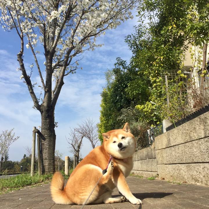 13748fd7 fb9a 43e7 83c1 27628fe0a1bf 1616643134122