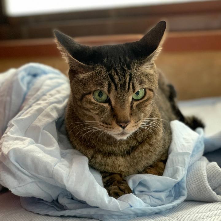 1374b024 7ac0 4468 9a66 cdc6dfadda88 1591493351339