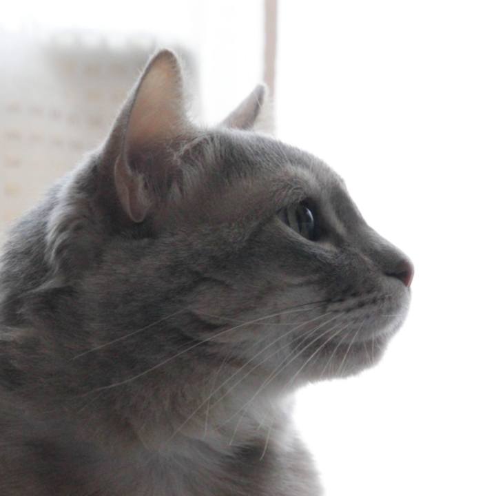 1374b51c f436 4b13 9462 c0f3aa750bcb 1610869152157