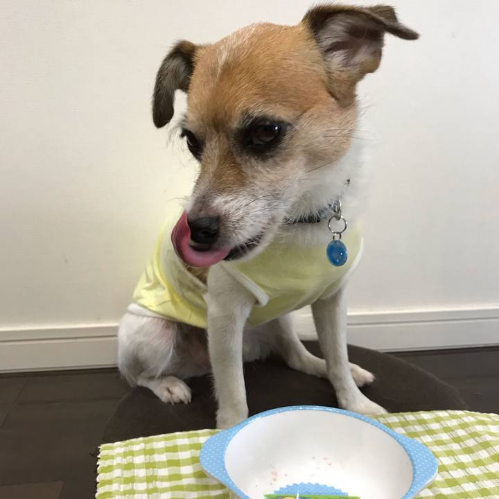 1374dcde 9eaa 4cd5 83a1 9aef808f3512 1566714087593