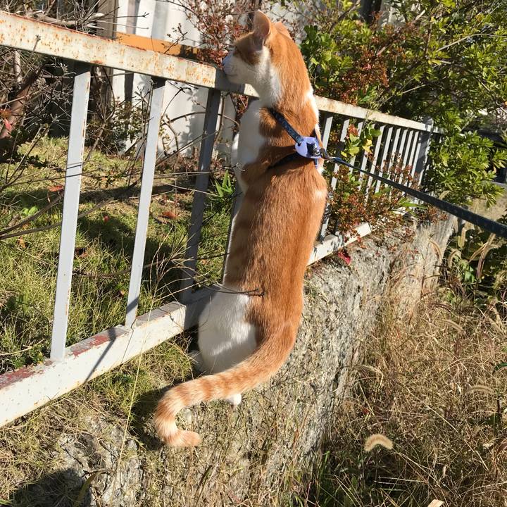 1374f7be 3558 460a 92af 00c8475c03a2 1510277556944