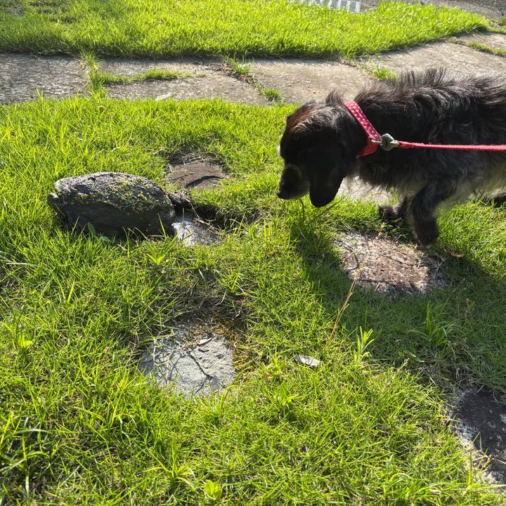 1374f9f7 8fe9 47eb 98eb a189cf06d682 1751239581085