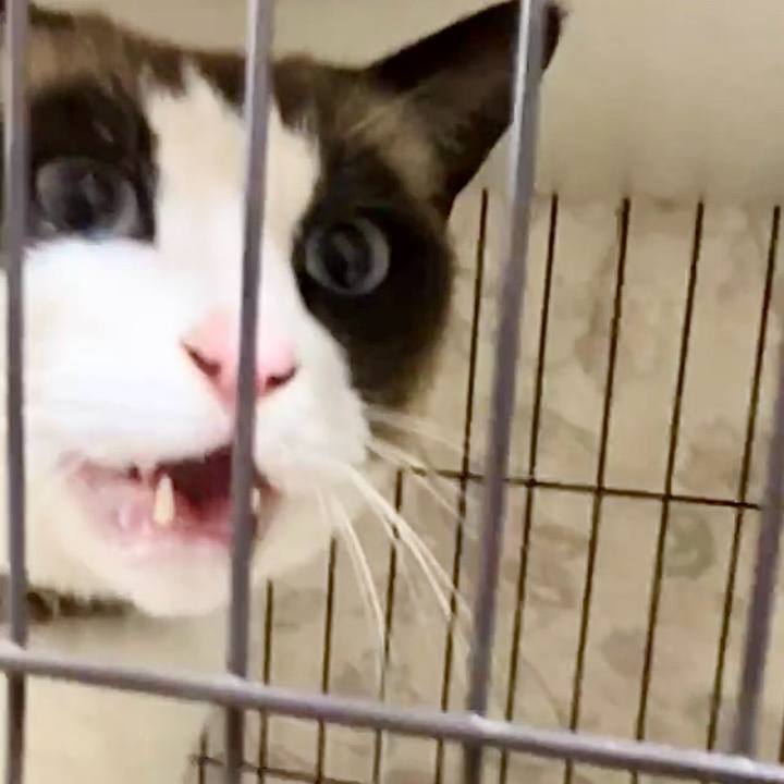 1374ff75 7eda 4912 82c7 ffd2b43d9de5 1741340090799