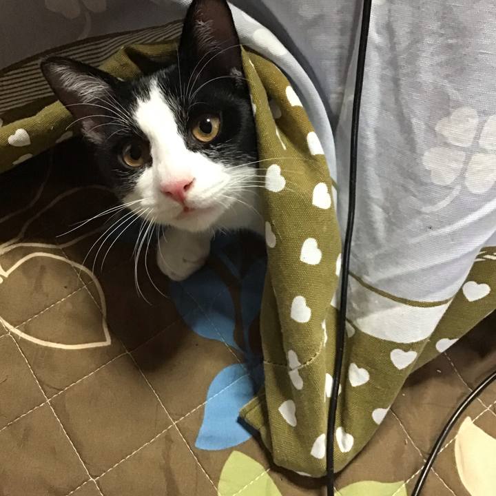 1375235a e874 4d78 9559 ac2f4aee892d 1634549160732