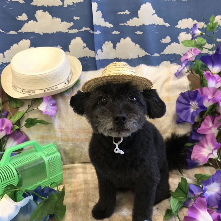 13755c82 ea9e 4edb b92b eb732e7ff5f0 1593936872700