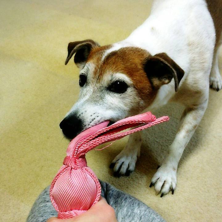 13756b3c 51b0 4763 b6e4 dc9dcdac2b89 1517585983759