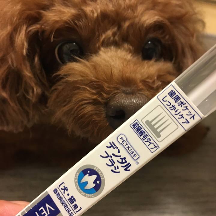 13756f72 144a 4a3b 83c6 150d32fc31de 1539042355164