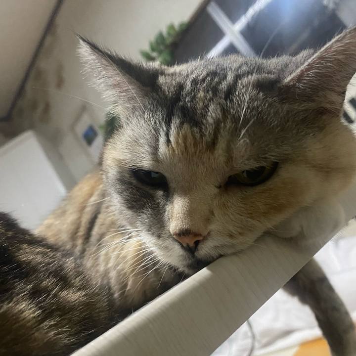 13758a11 d691 46c3 927e dd768c2dc065 1723301263090