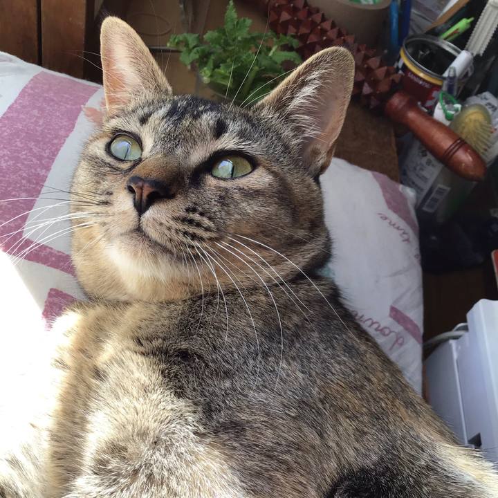 13759a29 fc10 43af 8de1 dcb57c58753c 1587614798347