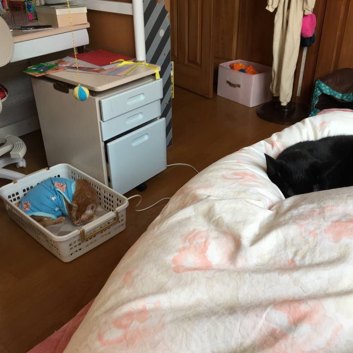 1375acd7 5312 4e15 8448 592b3fd42f78 1520731768013