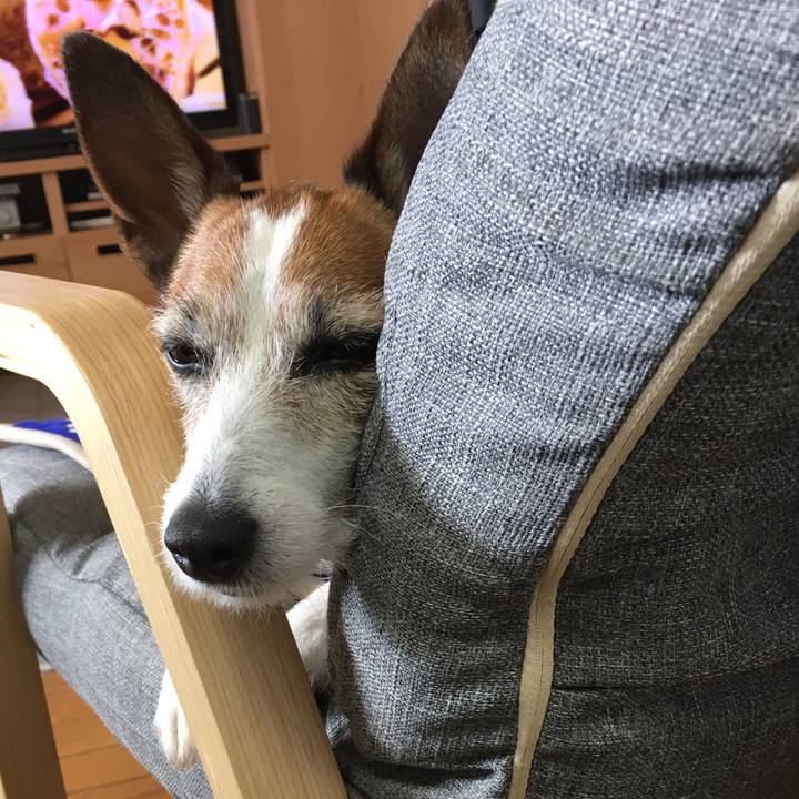 1375b861 9566 4f57 9630 7635ad092f84 1585711879402