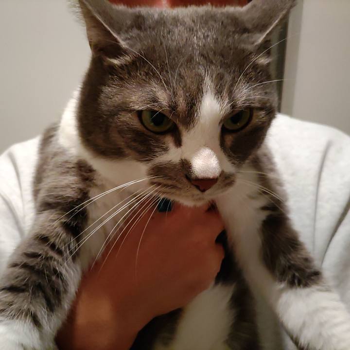 1375c6c1 1efd 4429 bd80 79e760bd6e29 1712668603589