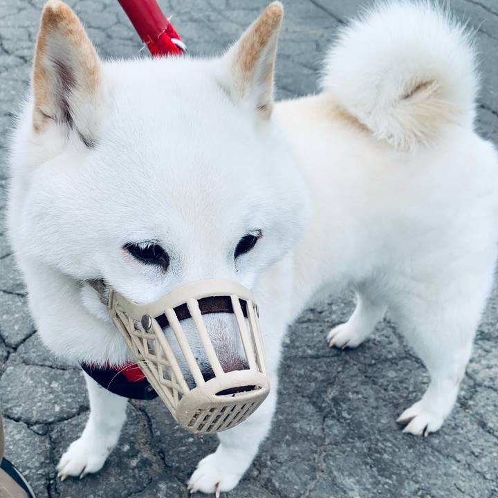 1375c711 4af9 41ec 99f7 1b7458e30a10 1678832234106