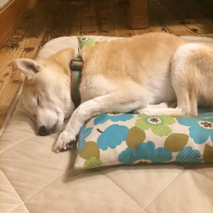 1375ec3c 46e4 4538 8be3 3f76e25c9bf1 1558967046264