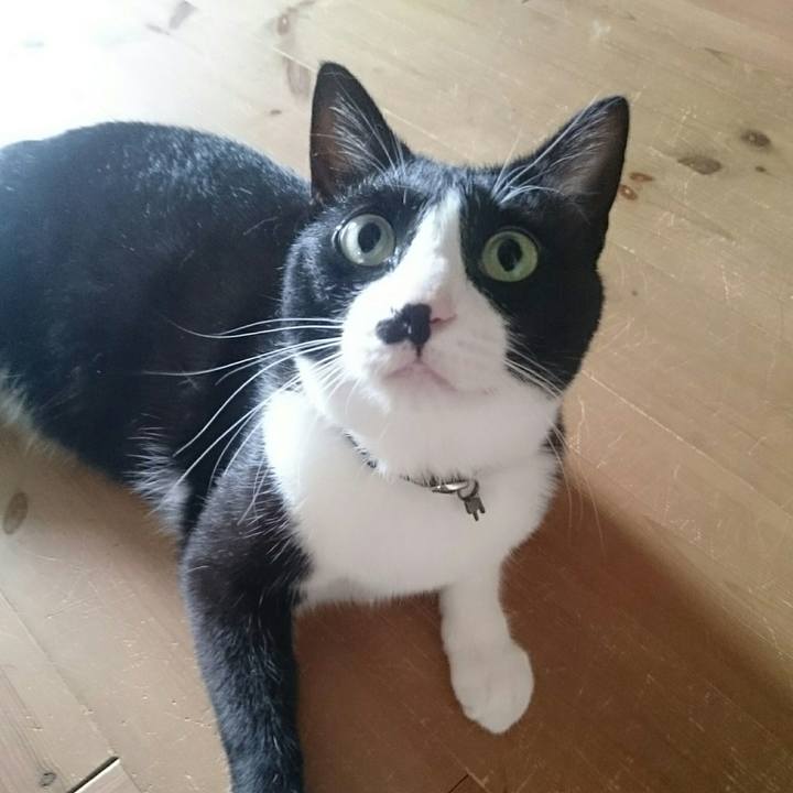 137601d4 6887 4eff 8281 9d20d11695b0 1566745167161