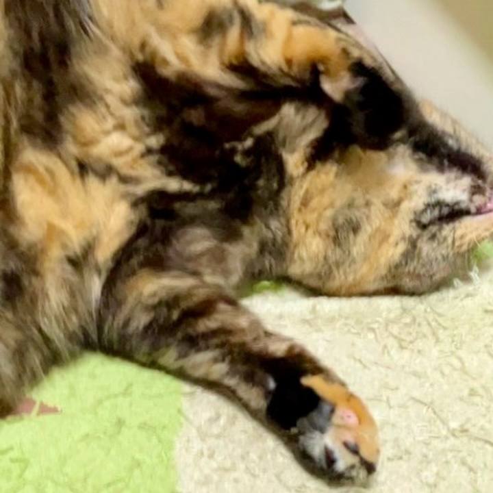 137647e8 a1e3 4efe 9c2d 2ee7e079cdb4 1730798916666