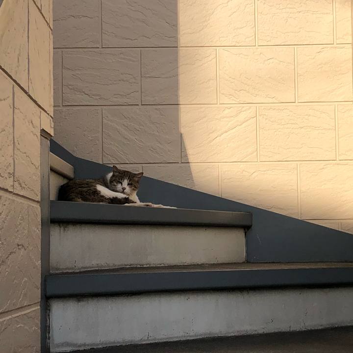 13765698 d2a3 4f03 a991 908728f08983 1528549861920