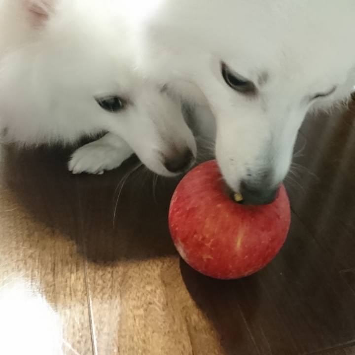 13765922 fc5c 4f07 9ef5 c9bdc8a929e0 1574850354283