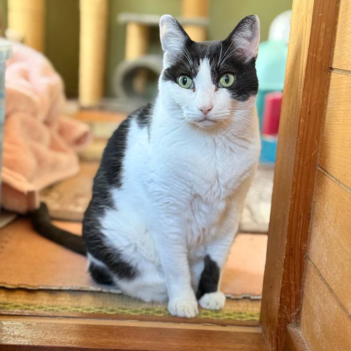 13767d49 45cf 45f4 90d5 5daa33ddc088 1766280157016