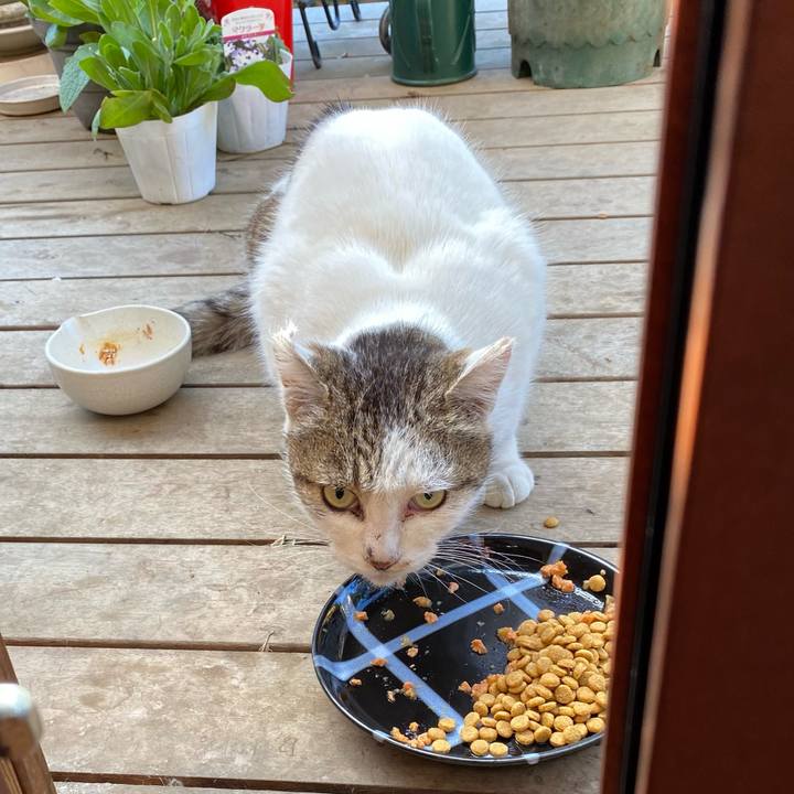 1376dd94 23af 4b1c ba2b fcea6231beb8 1706236268612