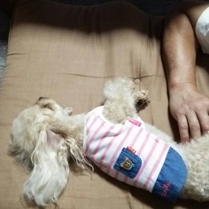 1376f0f5 8aec 4f18 8132 fb067d8ca792 1535806419959