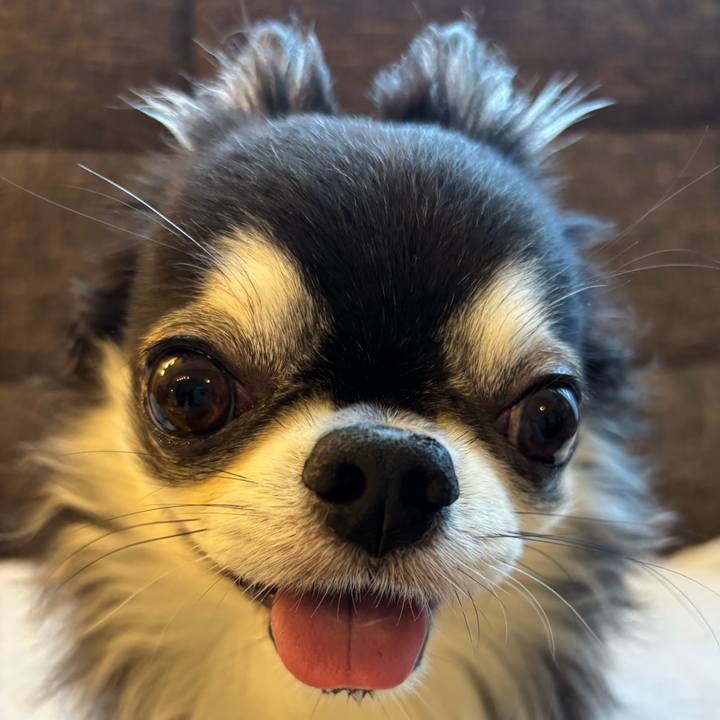 1376f528 0e81 4c89 8274 bef4cbf26928 1757116372587