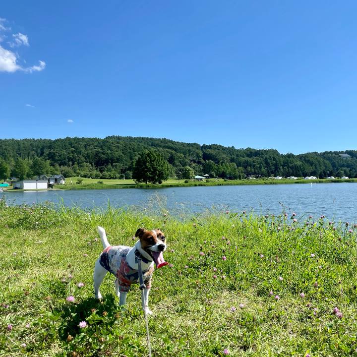 1376fbe6 6be0 4e33 aaa5 38c336b862a4 1626515110216