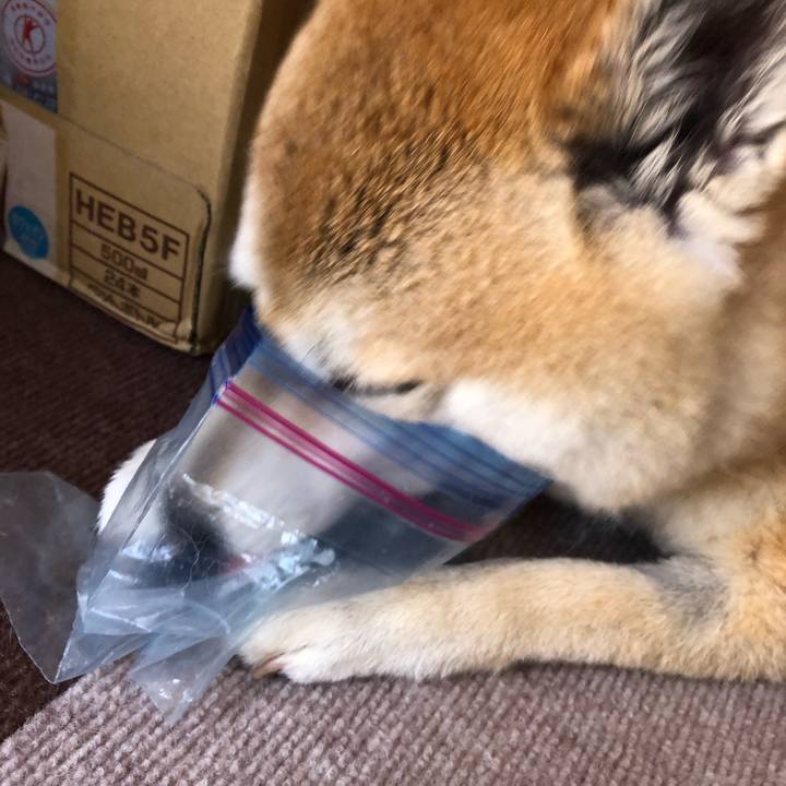 13772331 2abf 4941 8ee3 c87fe453b24d 1557059213363