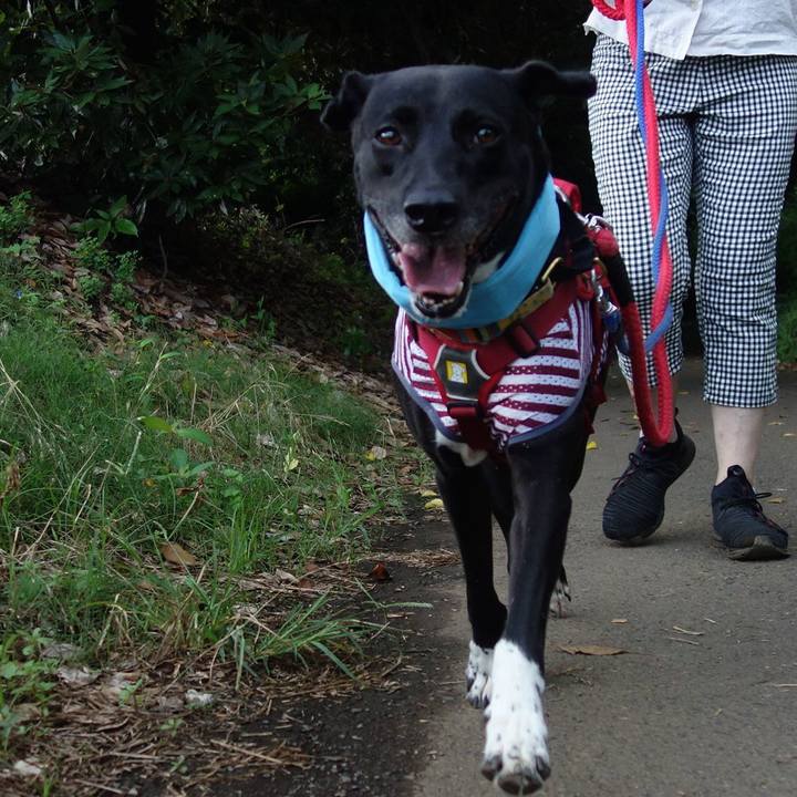 1377254e d35f 4a22 9179 b79fa4d57558 1628293727601