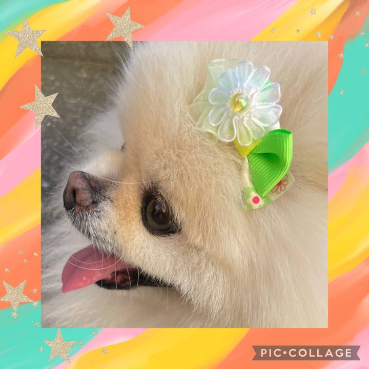 13772ccd c123 4b56 ba2d 451e9b1beceb 1750936526058