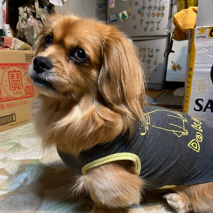 13772f4a 2336 45c1 8b72 835ece2882e4 1580506105864