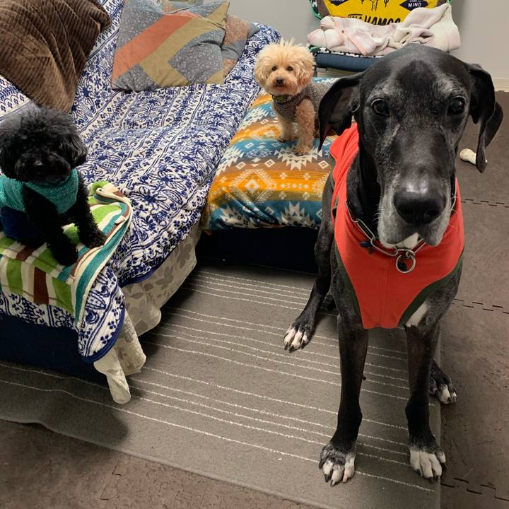 13774f47 8e03 4d55 9561 1ad2c3120741 1583274966666