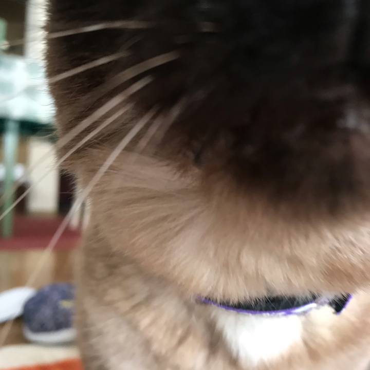 1377ad8d aa7f 45e4 99cc 37258d5d9100 1553570736648