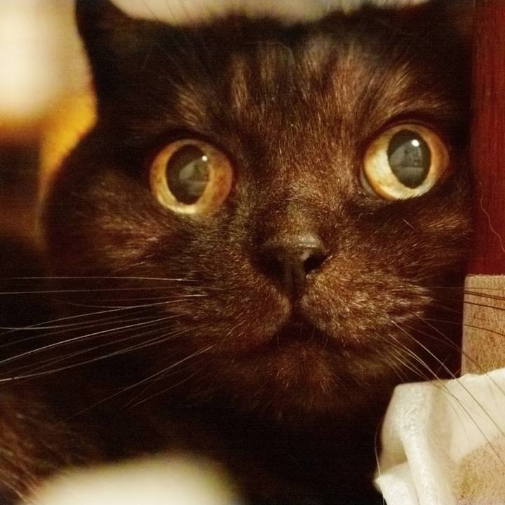 1377b820 fe4e 4a35 aba2 049dbc759dc0 1622651326220