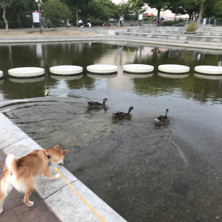 1377e5bb bffe 4ca1 b6f3 3a7099ea53e1 1534210332963