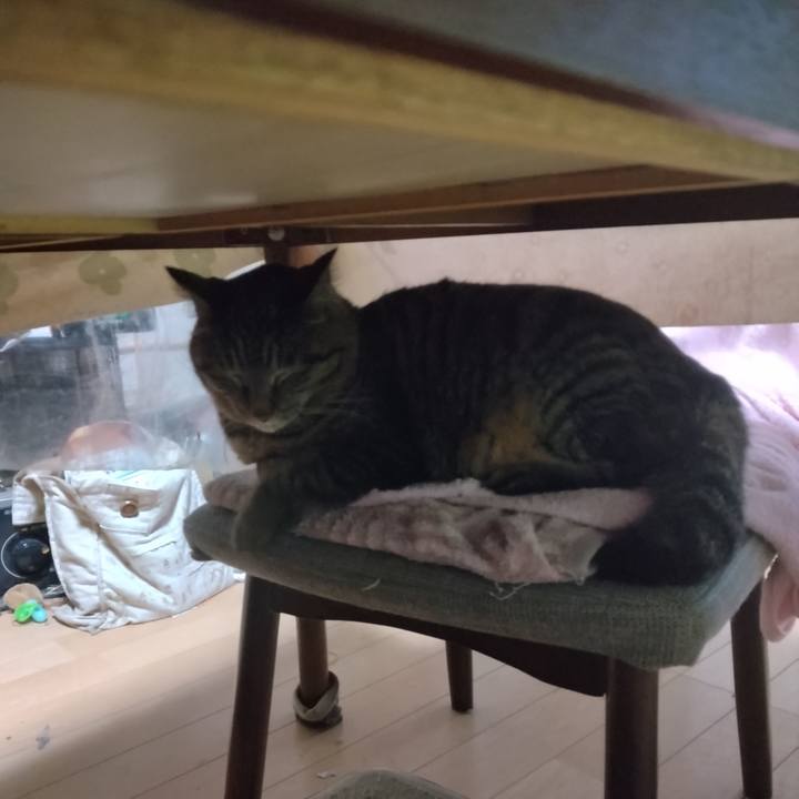 1378168a f5ab 4b4d 857e aa2d6761e059 1678402128019