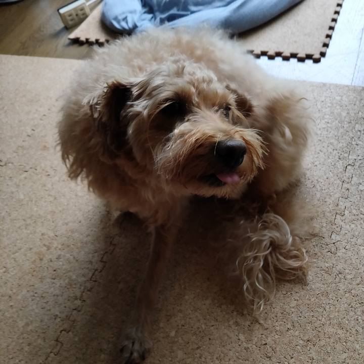 1378569b a768 4819 ae19 e9e8111c4c5a 1595542363921