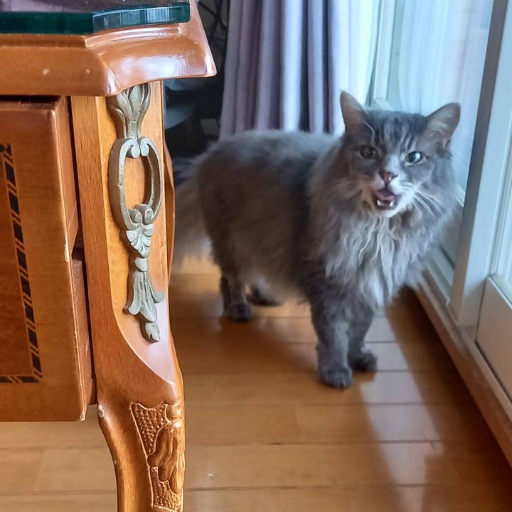 137868d6 5756 4e77 8895 884963bdf4e6 1631002642380