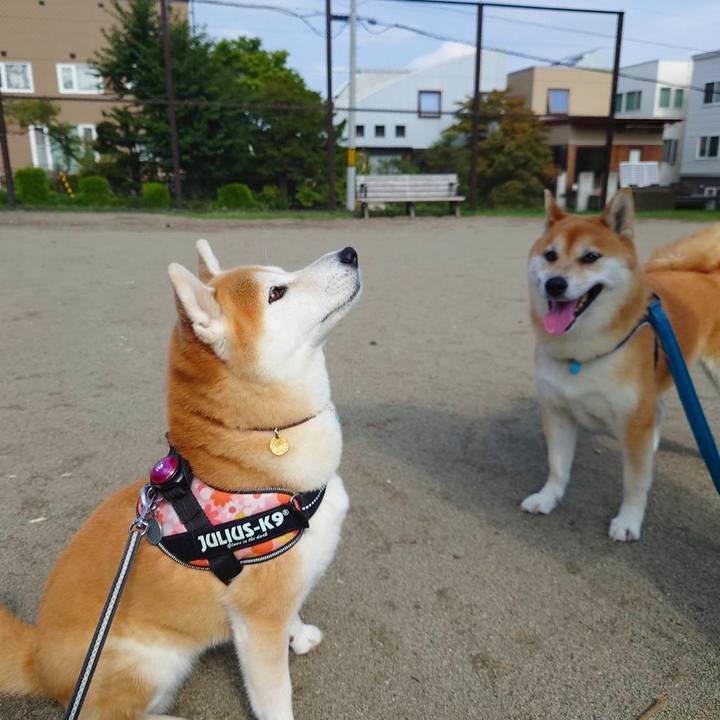 13787f81 d881 4b1c 8b17 9b04abf9c958 1630820063546