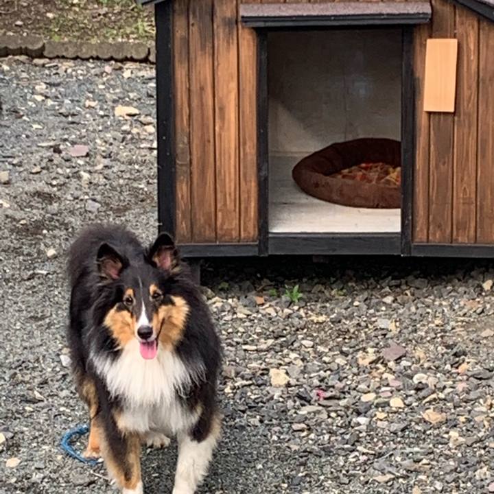 1378c92e 96f1 4e17 ba46 aa6dd0322baf 1560895746993