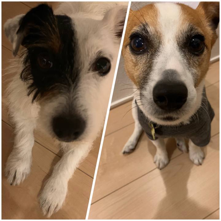 1378f26e 8470 468a ac27 db2ce5238e5c 1558780797278