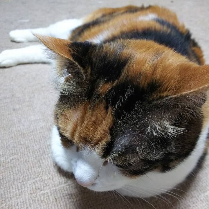 13792ba6 3a46 4191 8e07 30afec6ce3da 1528025019543