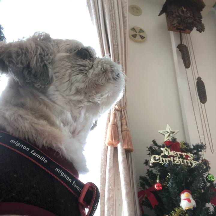 137948e6 481d 4fb8 b4ae c0293282bd5d 1608846660118