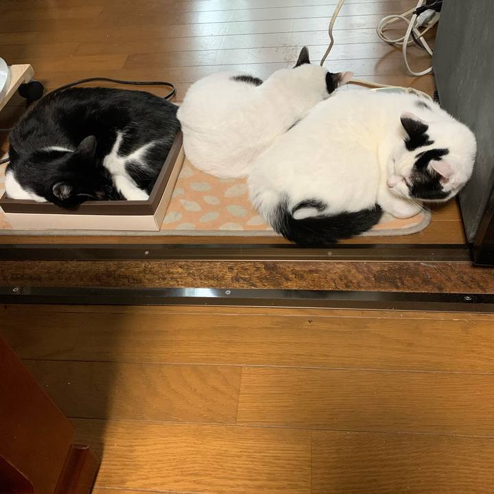 1379647c 99f2 4737 b5ee e37e7cb4a214 1602126478414