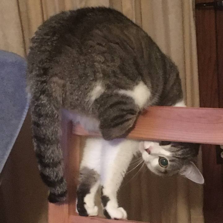 13796b0f 5b7a 4df7 8a9f 98d8b4f8193a 1618453761120