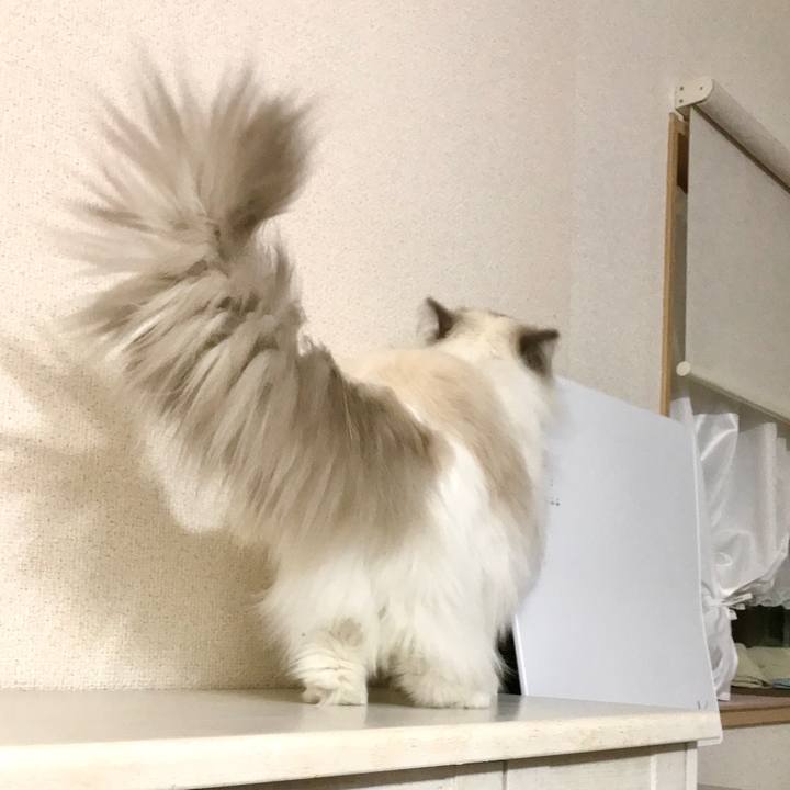 1379a858 3bbb 420d b269 96deca003925 1612350822701