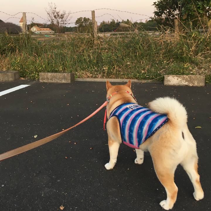 1379b095 f59a 4a72 bec8 43ab01b7f88e 1573919222757