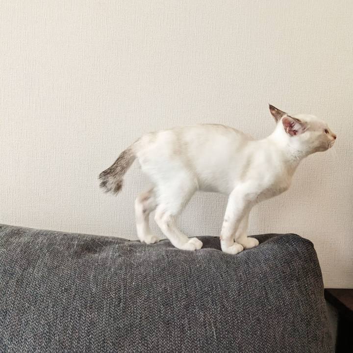 137a1369 e6e3 4dec a69e 99e63a9899a9 1690091595506