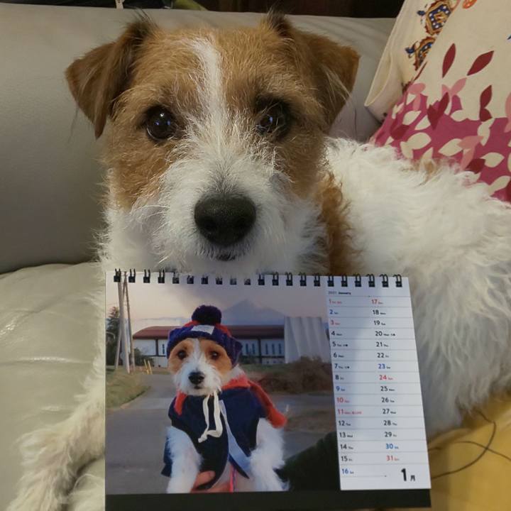 137a1b69 1887 4e30 9bf3 d79a0aef8b97 1610406152684