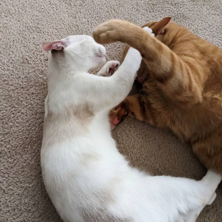 137a87bc 1c7e 47eb be4d e6e41b689563 1695283833174